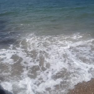 Meet your Posher, Lenore